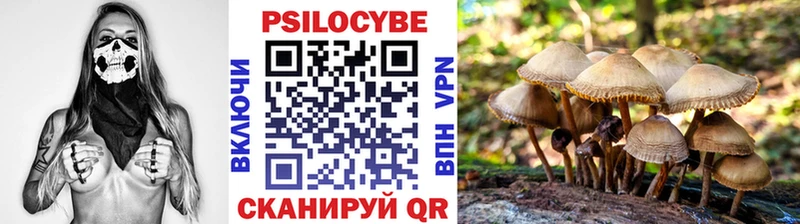 Галлюциногенные грибы мухоморы  сайты даркнета официальный сайт  Кольчугино 