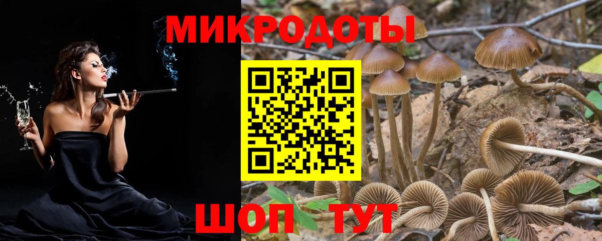Галлюциногенные грибы Magic Shrooms Кольчугино