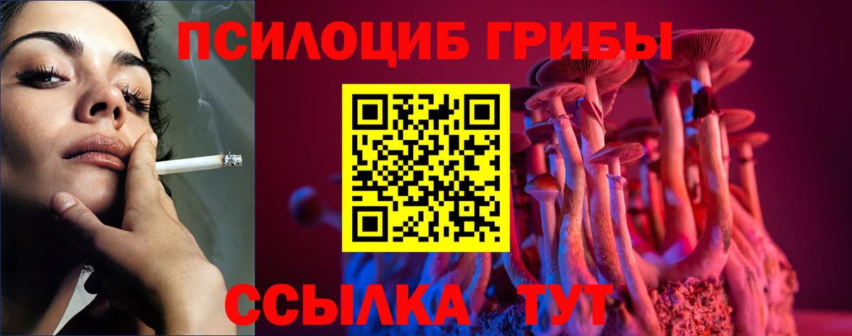 Кольчугино  Галлюциногенные грибы Psilocybe  хочу   Вход с VPN 